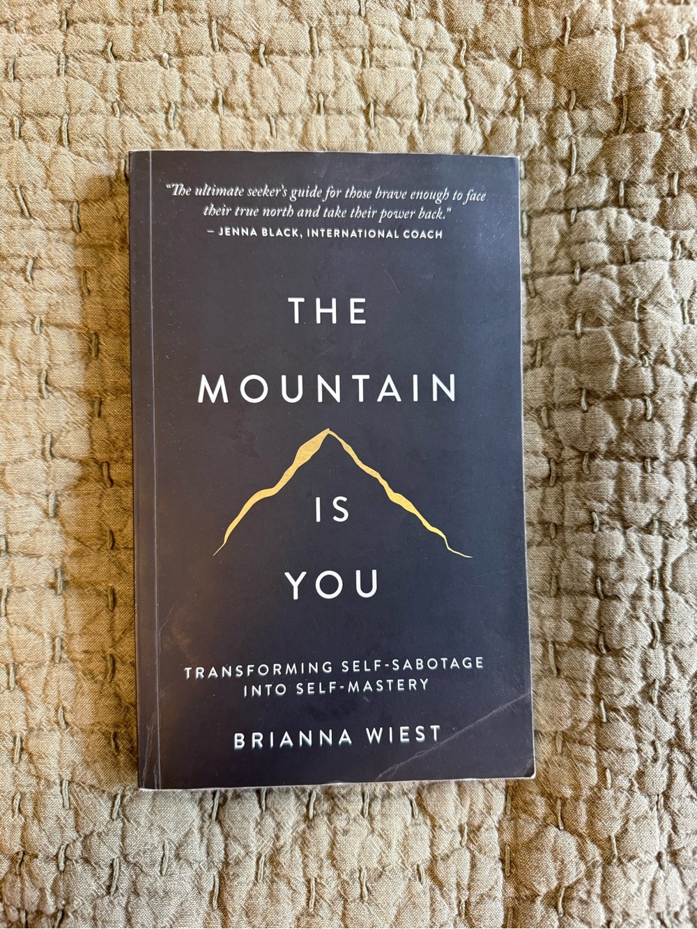 The Mountain Is You by Brianna Wiest